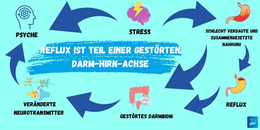 DHA Darm-Hirn-Achse
