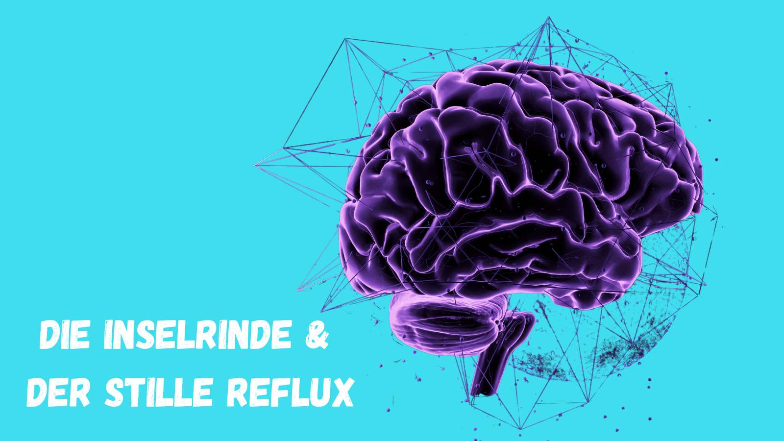 Inselrinde und Stiller Reflux