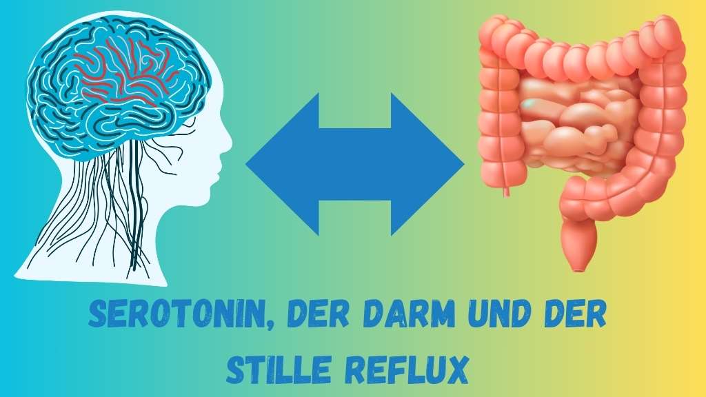 Serotonin, der Darm und der Stille Reflux Serotonin, der Darm und der Stille Reflux