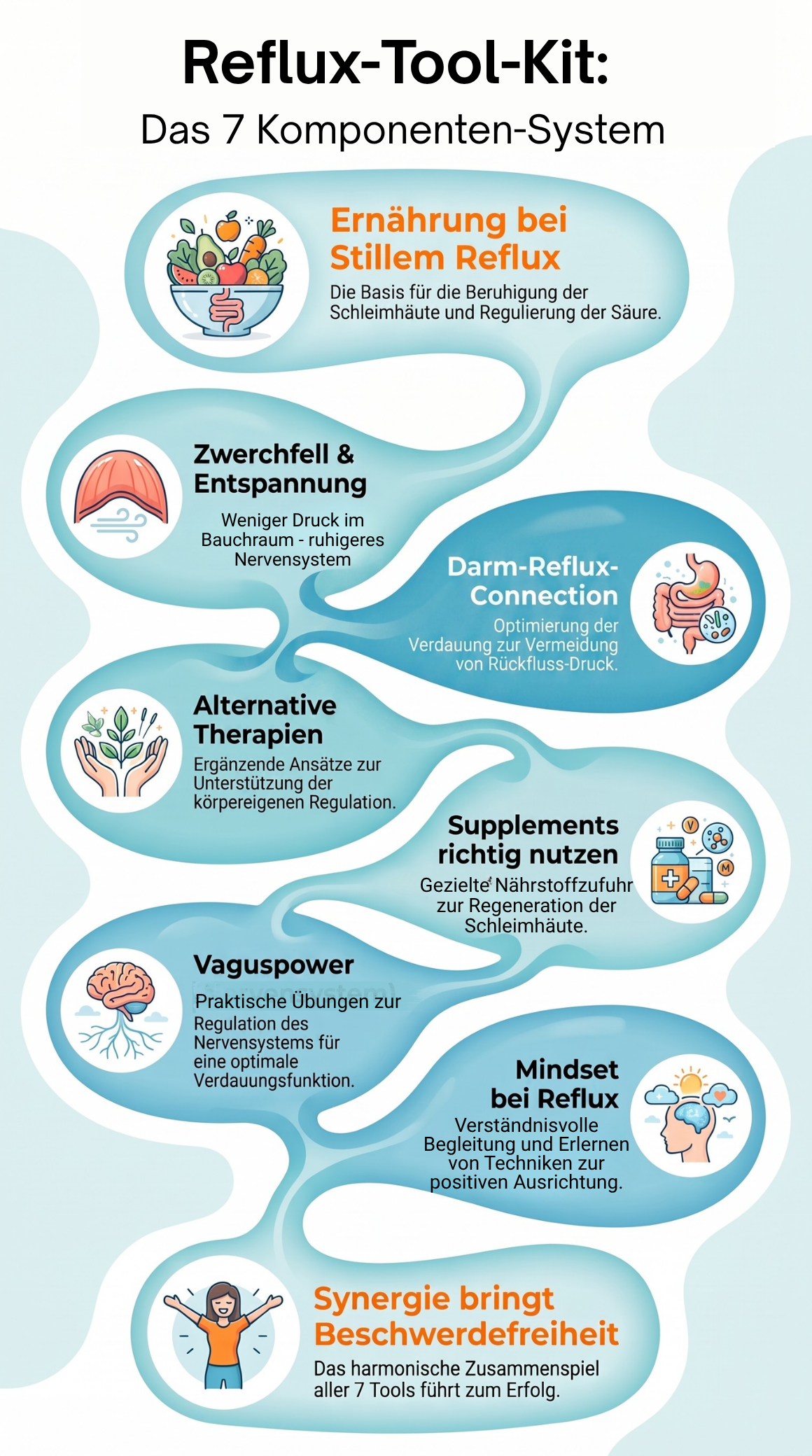 Methoden-Frame-Angebote (1) Das 7-Komponentensystem des Reflux-Tool-Kits: Ernährung als Basis, Zwerchfell und Entspannung, Darm-Reflux-Connection, alternative Therapien, Supplements, Vagusarbeit und Mindset – im Zusammenspiel