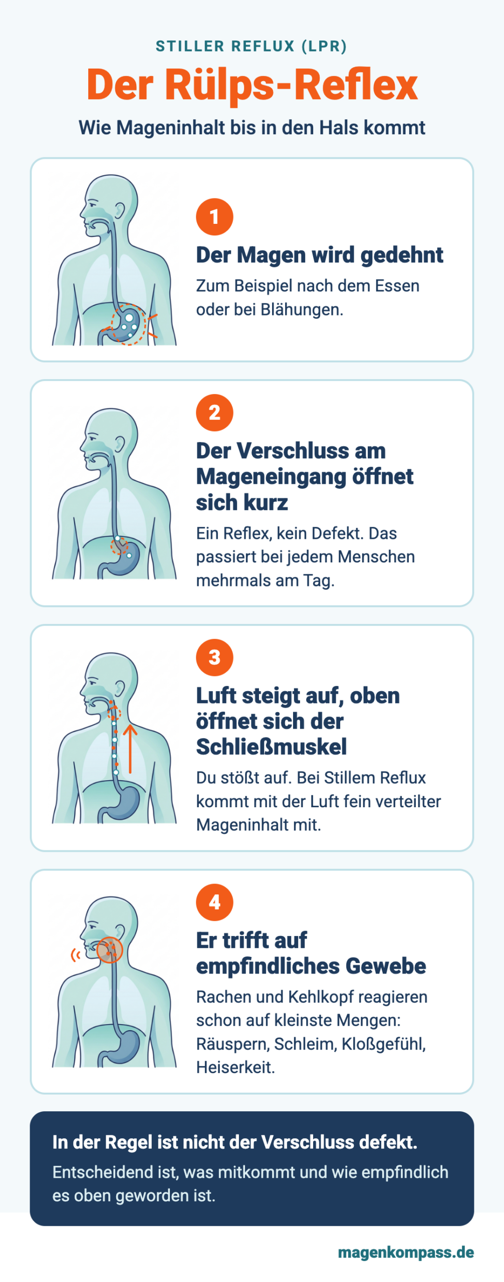 Der Rülps-Reflex – Leitartikel (Hochformat)@1x Der Rülps-Reflex bei Stillem Reflux