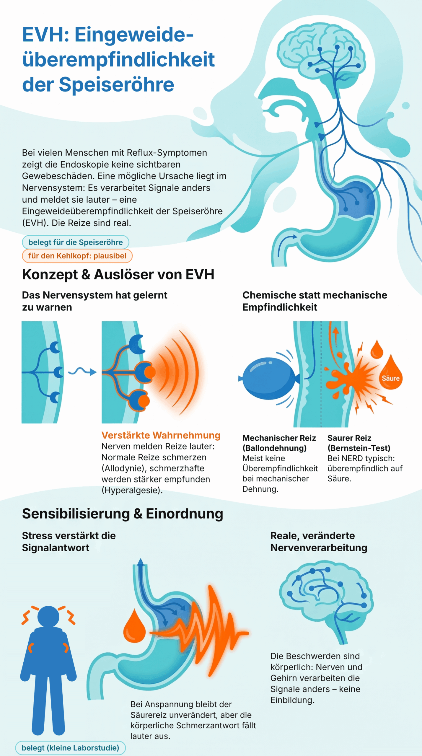 Infografik_EVH_korrigiert_v1
