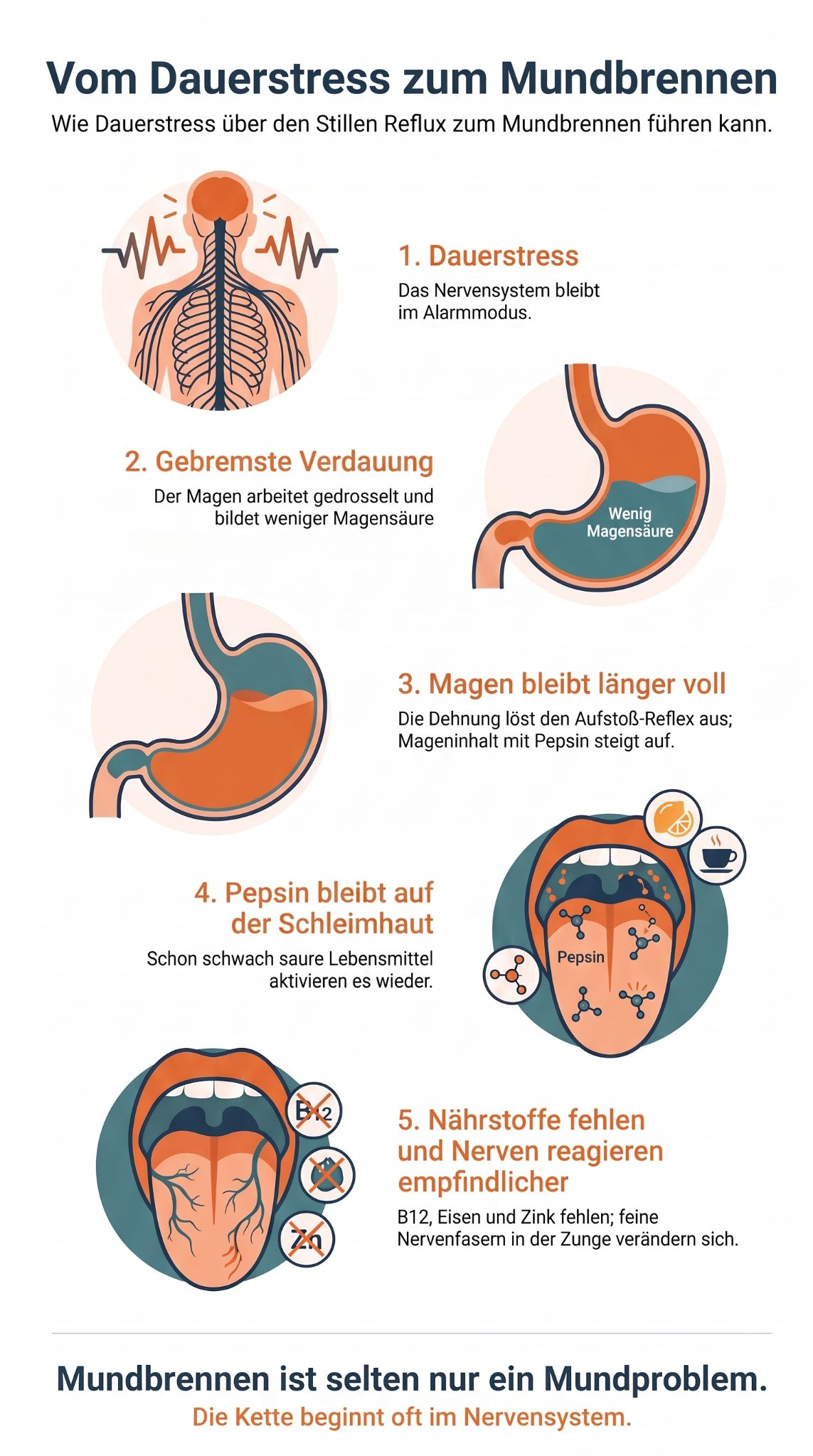 Mundbrennen_Infografik_korrigiert Infografik zur Entstehung von mundbrennen